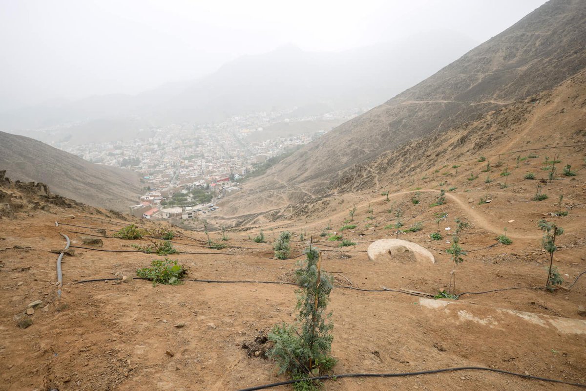 Municipalidad de La Molina tweet media