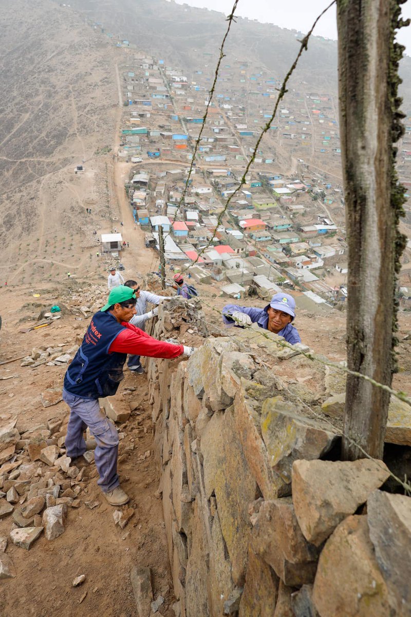 Municipalidad de La Molina tweet media