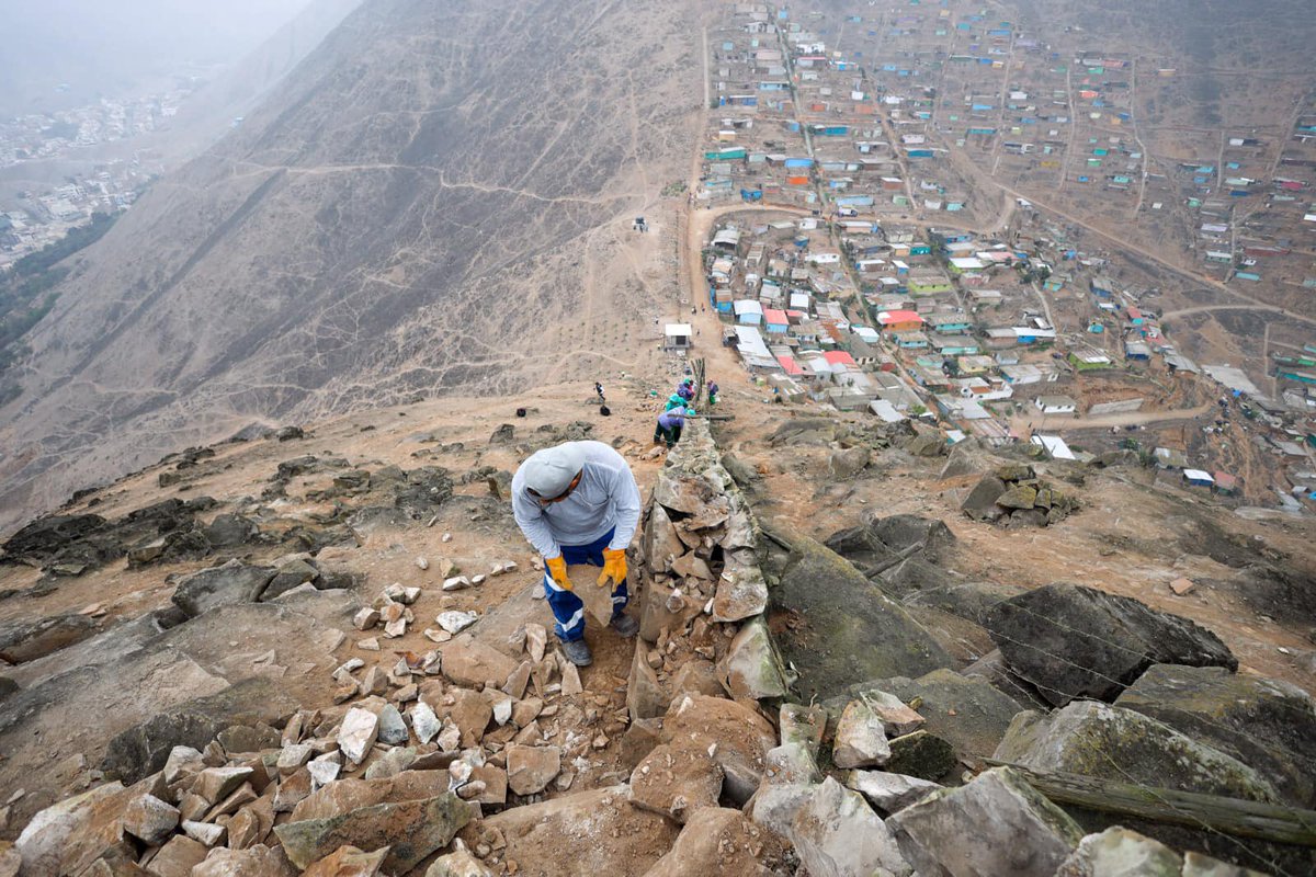 Municipalidad de La Molina tweet media
