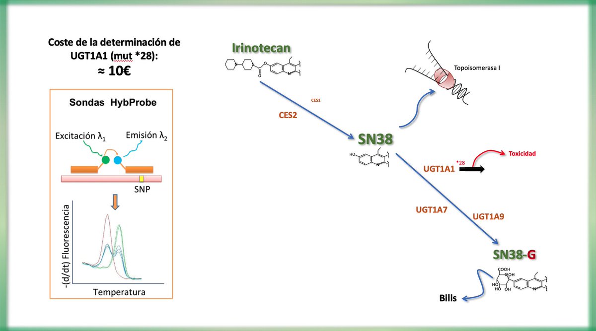 Fernando Gutiérrez Nicolás tweet media
