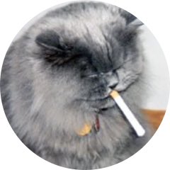 w████ tweet media