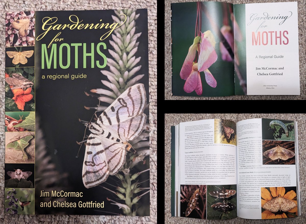 I was asked recently after a moth talk at a garden club: "How do you garden for moths?" Just received this beautiful guide for northeastern US.