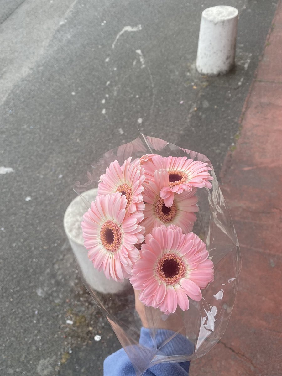 elbrdd's tweet photo. j’étais d’humeur à m’acheter ces germinis très mignonnes au noble prix de 4€ https://t.co/bgjGOozIft