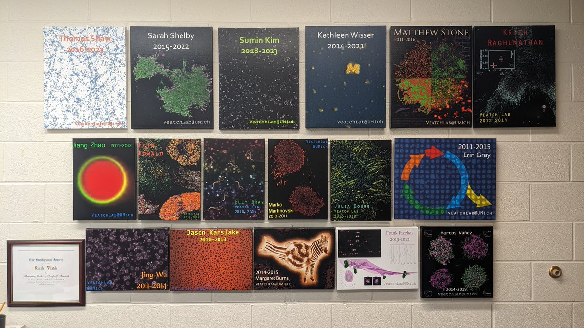 Sarah Veatch (@veatchlab) on Twitter photo The wall celebrating veatchlab alums is up just in time for the start of the academic year at <a href="/UMBiophys/">Michigan Biophysics</a> including a few new ones representing <a href="/ss_shelbs/">Sarah Shelby</a> , <a href="/suminkim28/">Sumin Kim</a>, and Thomas Shaw. Your impact looms large. The wall celebrating veatchlab alums is up just in time for the start of the academic year at <a href="/UMBiophys/">Michigan Biophysics</a> including a few new ones representing <a href="/ss_shelbs/">Sarah Shelby</a> , <a href="/suminkim28/">Sumin Kim</a>, and Thomas Shaw. Your impact looms large.