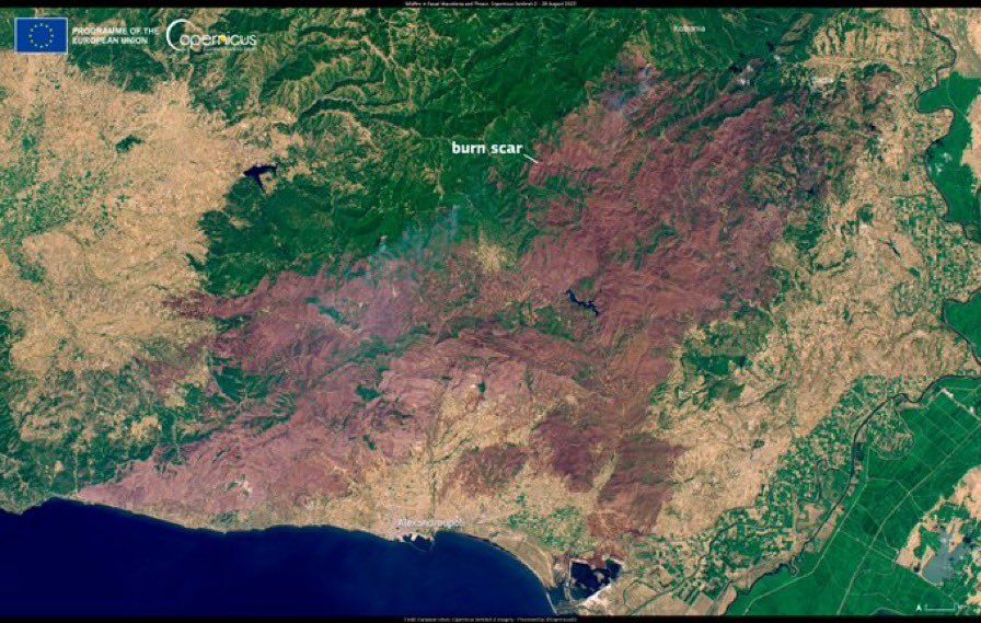 ⚠️ More than 800 sq kilometers burned in Evros fire. #Greece / HT @CopernicusEU