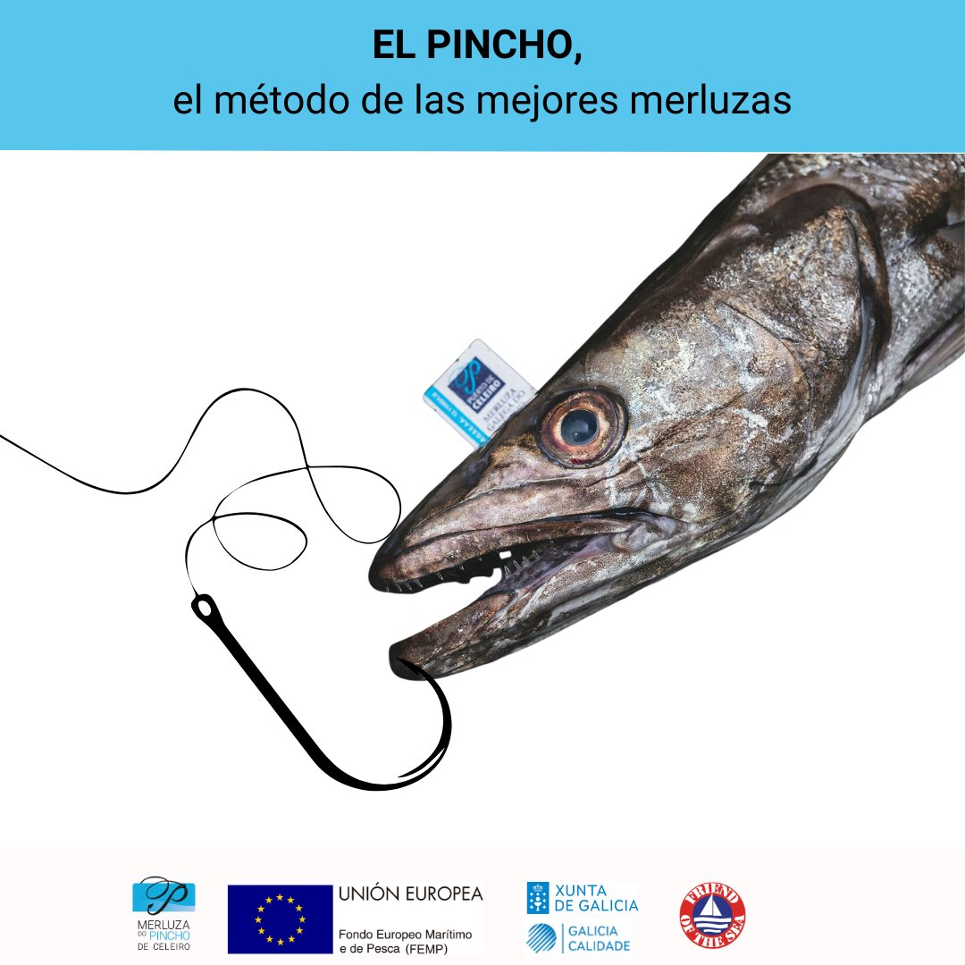 DeMerluza's tweet photo. El pincho es el método de pesca de las mejores merluzas.
🐟🪡
El secreto está en que se capturan con anzuelo, caña y sedal, pero una a una. El respeto a la pieza es máximo y su carne más jugosa y firme.
#merluzadelpinchodeceleiro #merluzadelpincho https://t.co/nEx1GYBtM8