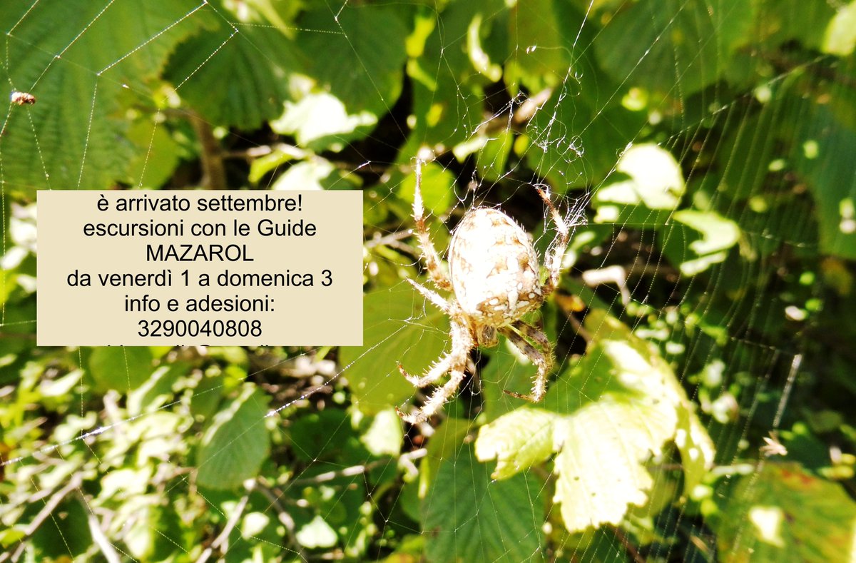 #settembre #escursioni #valcanzoi #parconazionaledolomitibellunesi #valdizoldo #valcordevole #meraviglia #guidemazarol #biodiversità #dolomiti #valbelluna #bellunesedascoprire #valledelmis