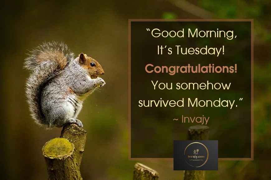 993TheRiver tweet media