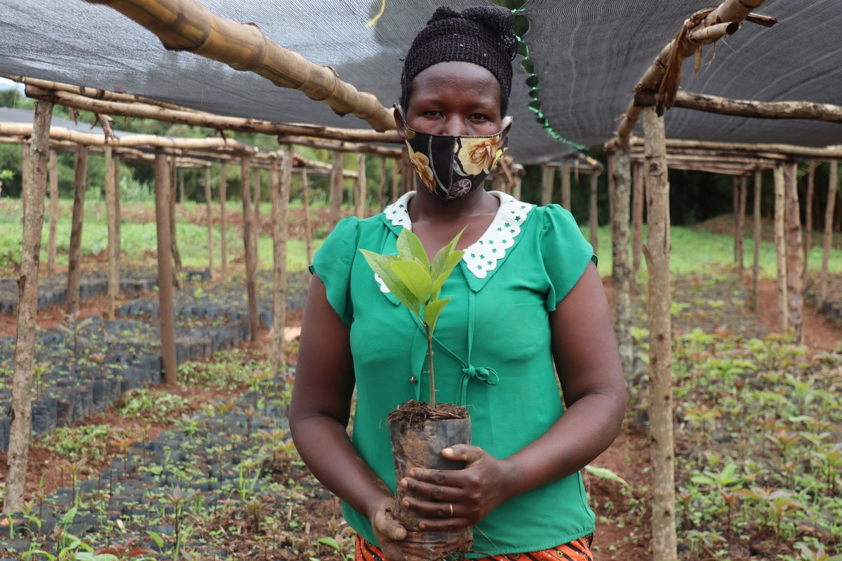 oxfaminrwanda's tweet photo. Almost 4 years ago, Odette couldn’t believe her life would improve through flowers production. Today, she can sell summer flowers on local market and earn money once every week! Thanks to @EUinRW🇪🇺  @RwandaFinance @OxfamIreland #unlockhorticulturepotential https://t.co/NsTJit4tS4
