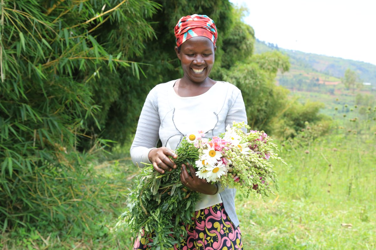 oxfaminrwanda's tweet photo. Almost 4 years ago, Odette couldn’t believe her life would improve through flowers production. Today, she can sell summer flowers on local market and earn money once every week! Thanks to @EUinRW🇪🇺  @RwandaFinance @OxfamIreland #unlockhorticulturepotential https://t.co/NsTJit4tS4