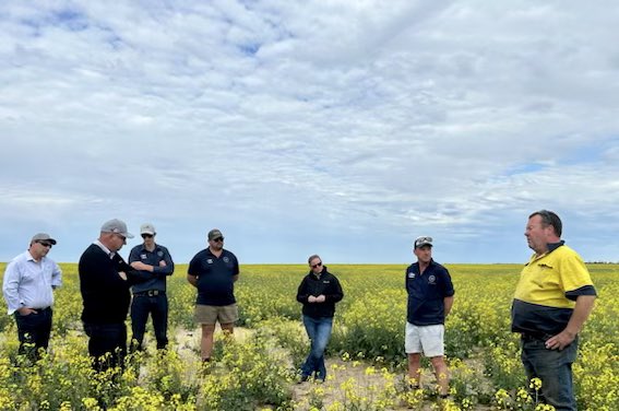 Thanks @NuseedAustralia for coming to view your products performing in our patch. 
Great discussions, lifting the bar for canola profitability in low rainfall environments 
🤘🏽🤘🏽