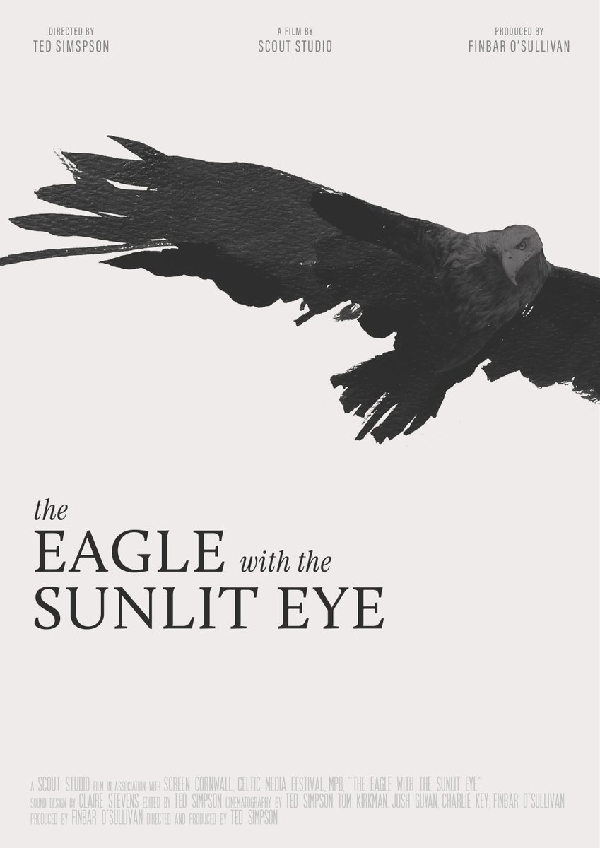 tedsimpson_'s tweet photo. So excited to unveil our poster for the @sunliteyefilm, thanks to the amazing talents of @TessaOstreet.

The White Tailed Eagle (Haliaeetus albicilla) is known by a few different names, and throughout making the film we were always fascinated by the many different variations. 1/ https://t.co/Fzr9i3BxXx