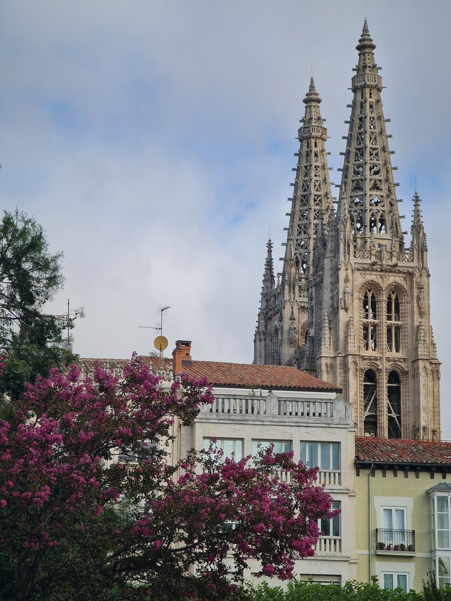 profedelemax's tweet image. Hoy empieza @ASELEBurgos2023 😌😍
@ASELE_ELE 

#twitterele