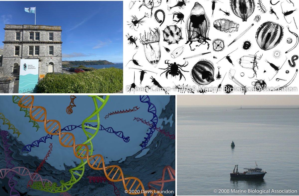 Michael Cunliffe 🏳️🌈 (@sea_bugs) on Twitter photo #postdoc available <a href="/thembauk/">MBA - Marine Biological Association</a> working with DNA metabarcoding datasets on #marine #biodiversity. Plankton focused incl. microbial. With collaborators across Europe incl. <a href="/EMBRC_EU/">EMBRC (European Marine Biological Resource Centre)</a> & <a href="/SBRoscoff/">Station Biologique de Roscoff</a> on the projects <a href="/MARCOBOLO_EU/">MARCO-BOLO</a> & <a href="/BIOcean5/">BIOcean5D</a> 🌊🦠🪸🐟🧬 <a href="/OBON_Ocean/">Ocean Biomolecular Observing Network (OBON)</a> mymba.mba.ac.uk/job/postdoctor… #postdoc available <a href="/thembauk/">MBA - Marine Biological Association</a> working with DNA metabarcoding datasets on #marine #biodiversity. Plankton focused incl. microbial. With collaborators across Europe incl. <a href="/EMBRC_EU/">EMBRC (European Marine Biological Resource Centre)</a> & <a href="/SBRoscoff/">Station Biologique de Roscoff</a> on the projects <a href="/MARCOBOLO_EU/">MARCO-BOLO</a> & <a href="/BIOcean5/">BIOcean5D</a> 🌊🦠🪸🐟🧬 <a href="/OBON_Ocean/">Ocean Biomolecular Observing Network (OBON)</a> mymba.mba.ac.uk/job/postdoctor…
