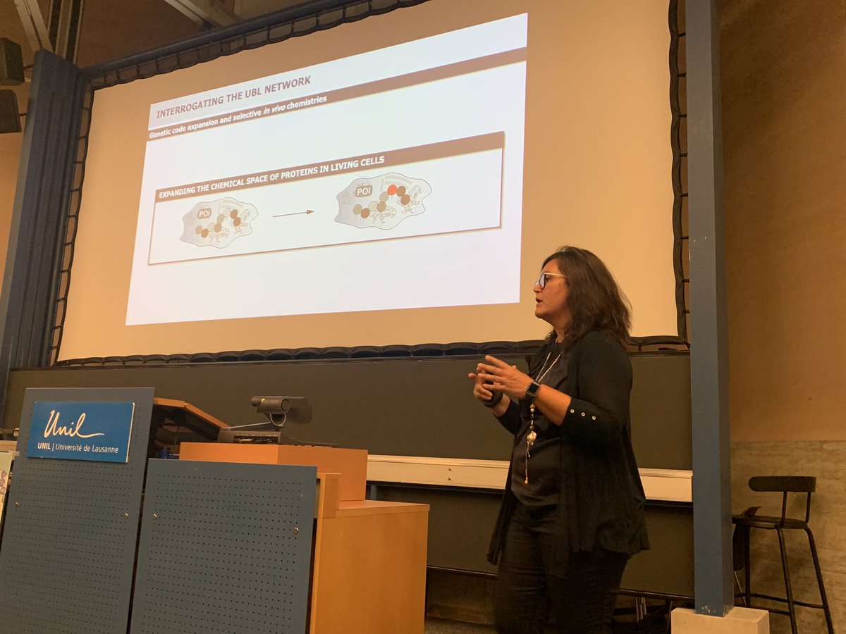 ProfTomEllis's tweet photo. Great talk from ETH’s Kathrin Lang on new chemistries for modulating proteins in cells #swissuksynbio https://t.co/d6gmCbL59t