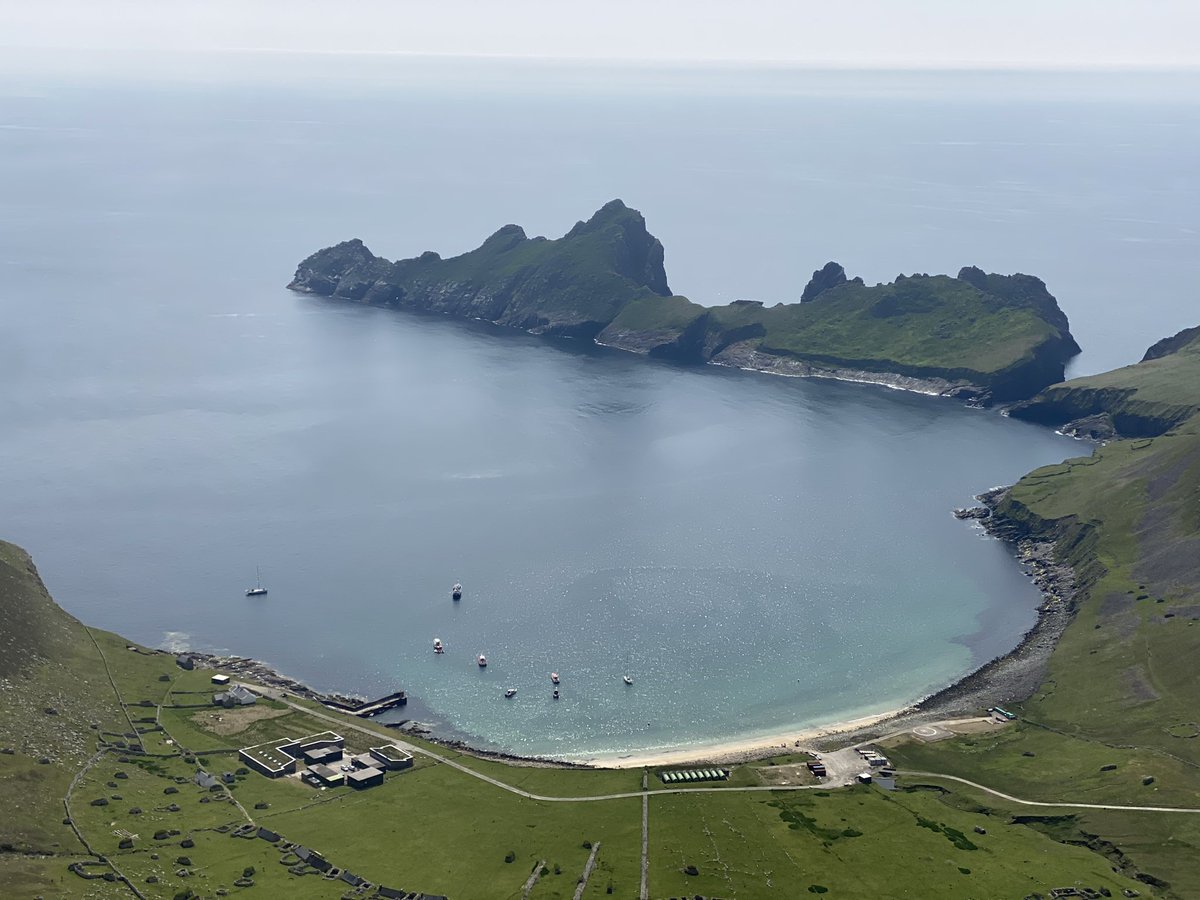 BaskingSharkScotland tweet media