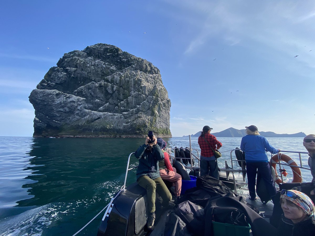 BaskingSharkScotland tweet media