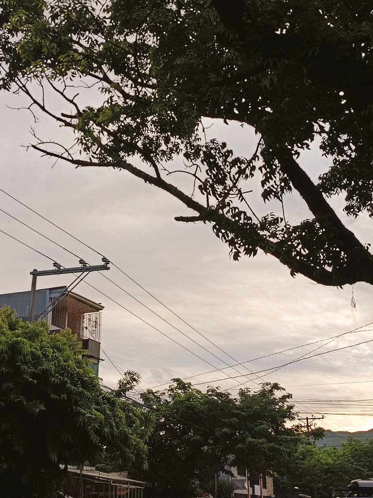 study_ika's tweet image. first day !☀🙌