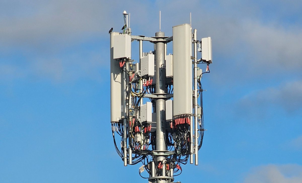 Peter Clarke tweet media