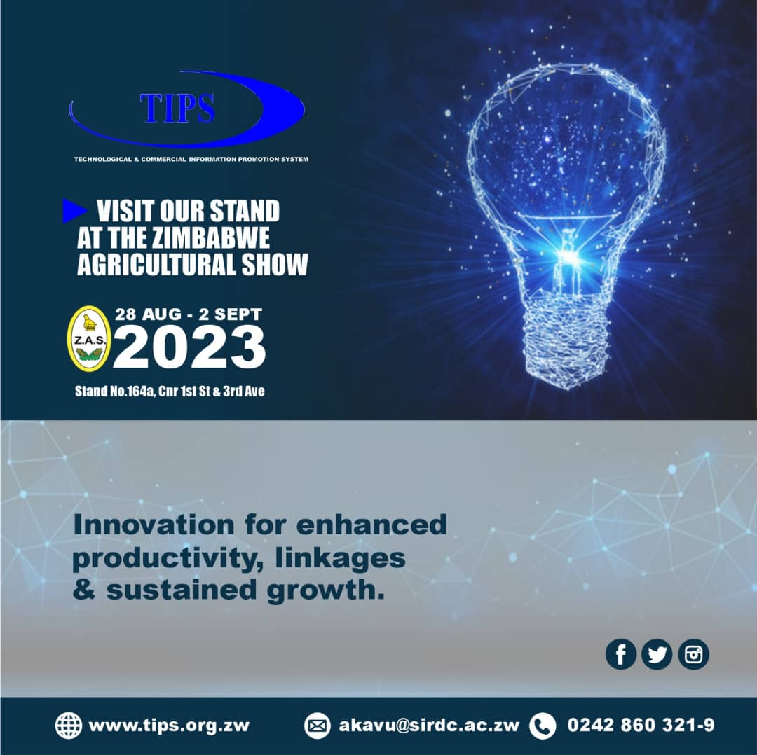 TipsZimbabwe's tweet image. It's that's time of the year again!!!!