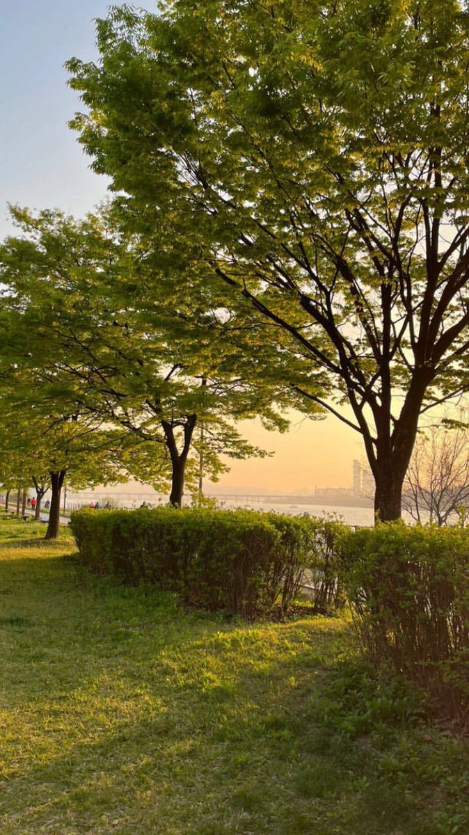 webdetect's tweet image. 🌥️A perfect way to start and end your day.