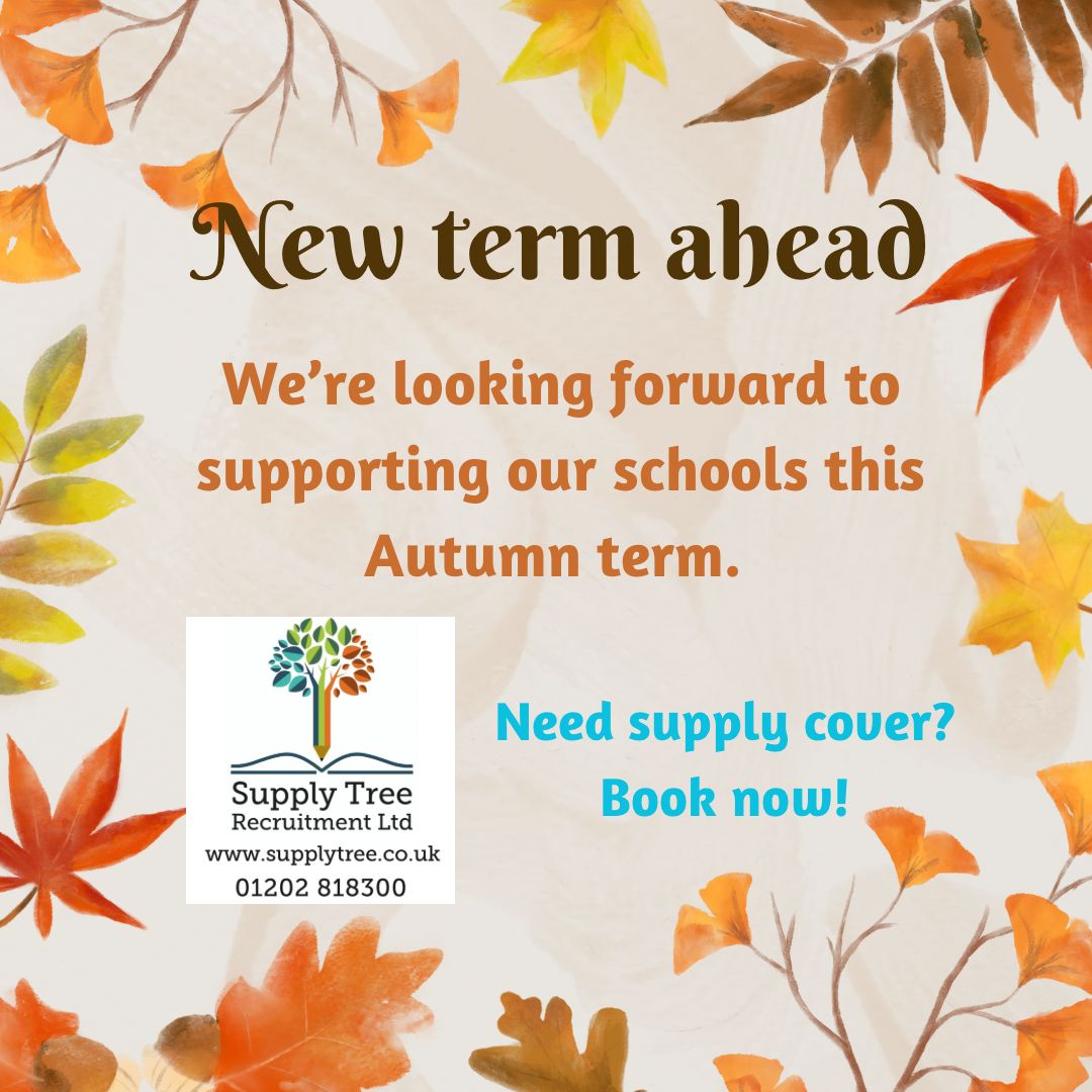 Supply Tree tweet media