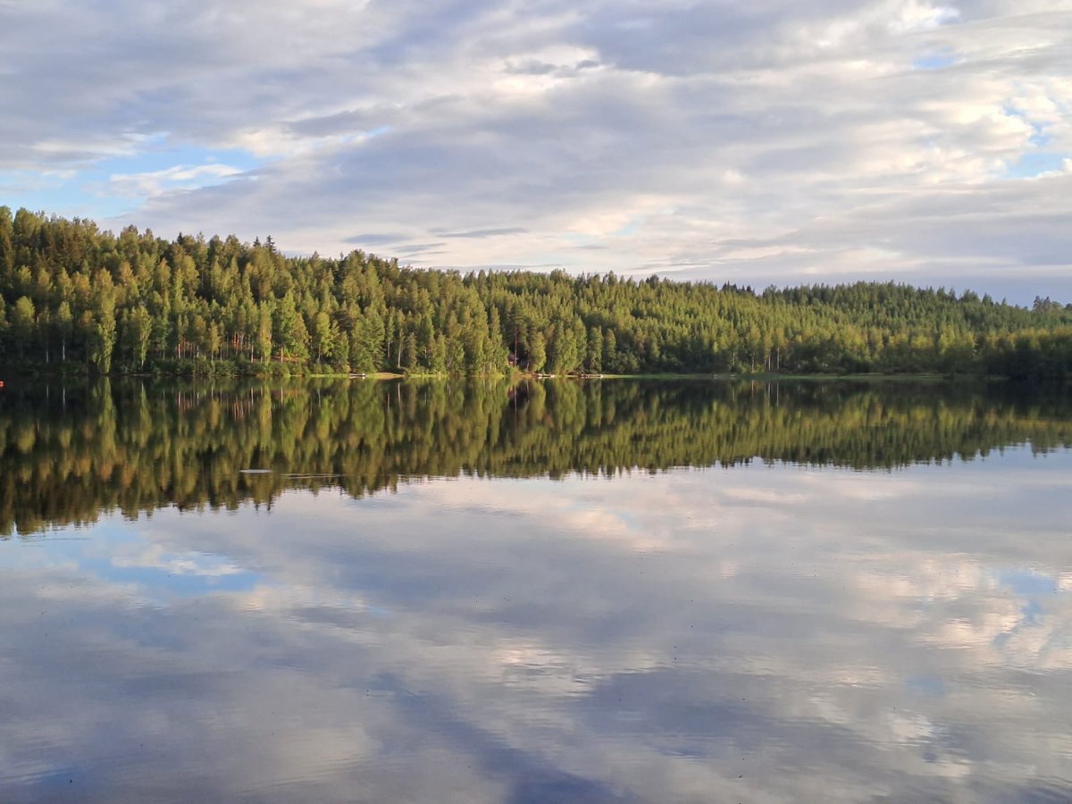 Dr Sašo Gorjanc tweet media