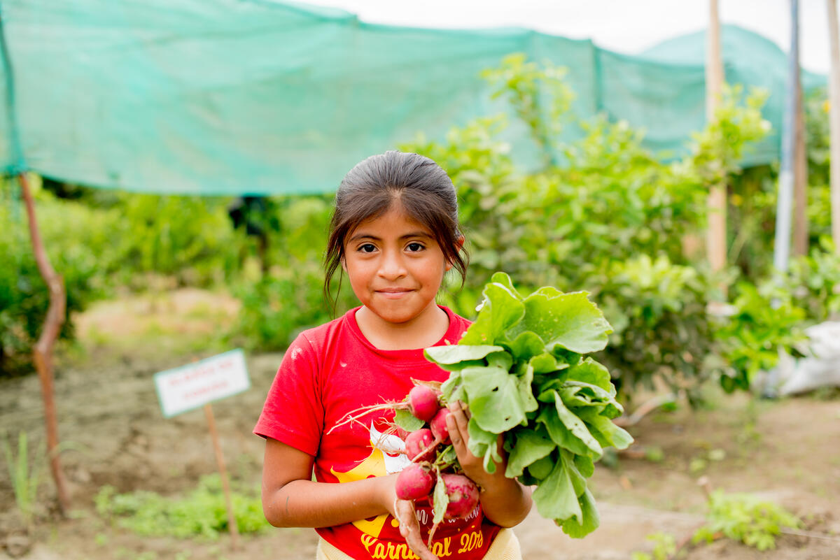 Around 23% of people across #LatinAmerica and the #Caribbean can't afford a healthy diet as the region grapples with 🔥 climate extremes and 📈 climbing costs. WFP is working to provide food and nutrition support to nearly 10 million people across the region this year.