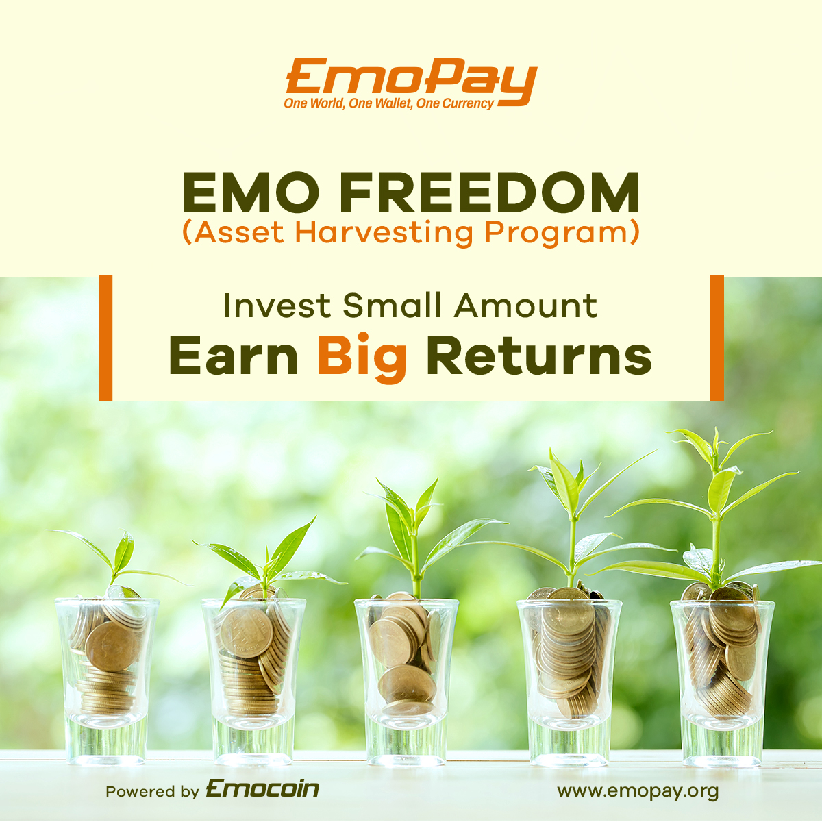 imemopay's tweet photo. The Emo Freedom program invites you to take the first step towards a prosperous future.🌱📈

Visit 👉🏻 https://t.co/IxmAS6dVCI

#EmoFreedom #investment #opportunity #emo #crypto #Emopay #Future #invest #cryptocurrency #BigReturns #Emocoin #FinancialFreedom #SmartInvesting #Success https://t.co/2YZZeLCLZY