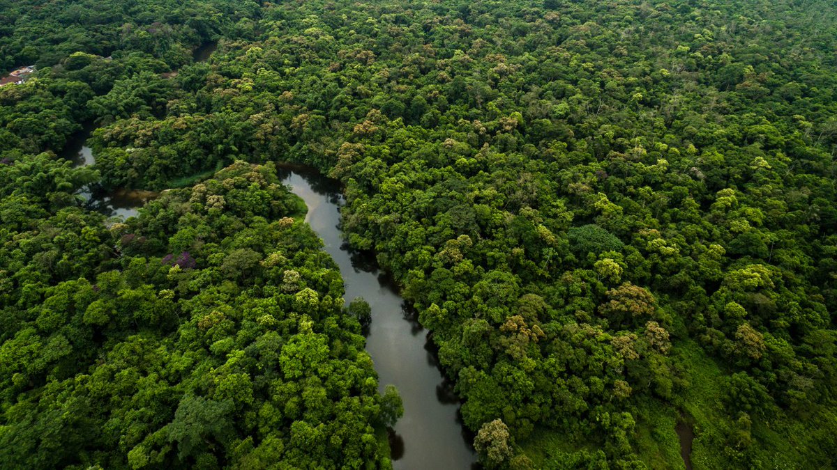 unepwcmc's tweet photo. The benefits of the Green Gigaton Challenge go beyond mitigation &amp; include multiple co-benefits such as biodiversity conservation, adaptation to #climatechange, reducing the risk of zoonotic diseases &amp; employment generation! 🌳🌎

➡️  https://t.co/efEhhNULul https://t.co/HjdrB8LRw3