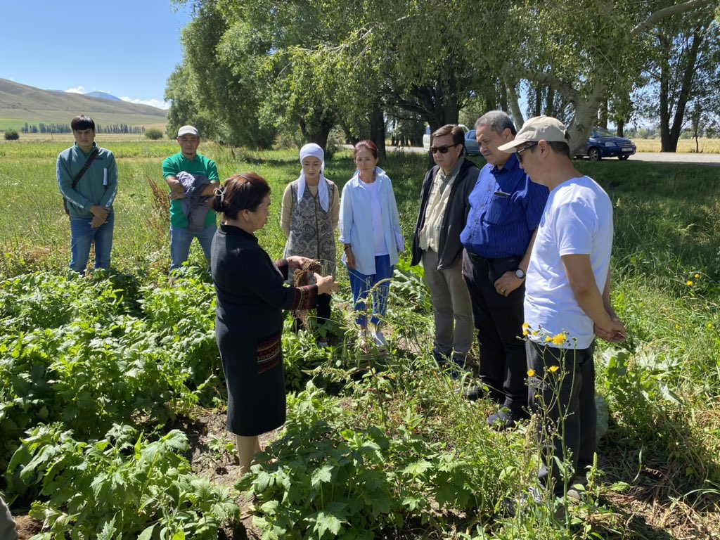 Henry1043's tweet photo. Organic value chain training Issyk-Kul Farmer’s Co-operative Kyrgyzstan producing medicinal herbs for export. FAO Technical Cooperation Project. https://t.co/1DUP8GaMtc