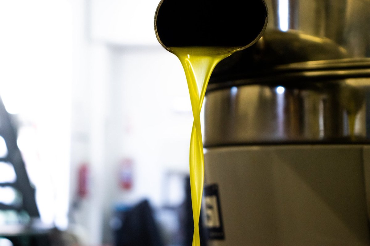 OakhurstOlives's tweet photo. Once in the heart of #SouthAfrica's #Tulbagh region, Desert digital skillfully captured stunning images of the farm while also crafting captivating videos for #OakhurstOlives!
#Throwback #EVOO #OliveOilMagic #SAOlive #TulbaghGem #ExploreTulbagh #PureTulbagh #DesertDigital https://t.co/9cqOA1dcQ2