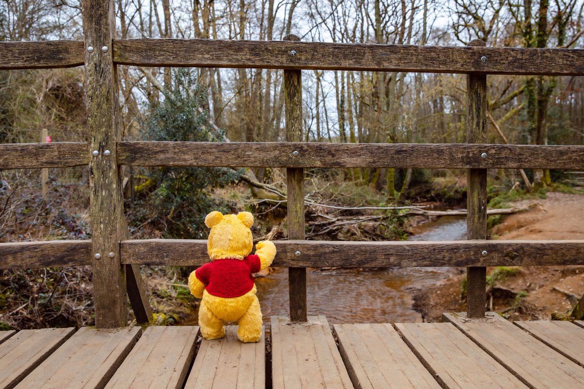 Winnie The Pooh UK tweet media