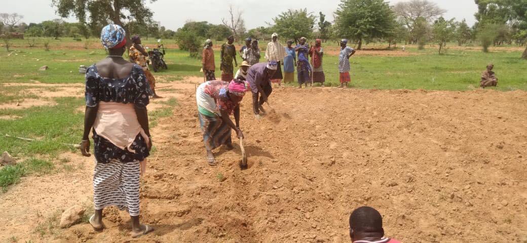 ONG_Amedd's tweet photo. Préparation des parcelles de démonstration au profit de mères et filles dans la commune de #Kendie et #Bara_Sara. 3variétés améliorées de différentes spéculations sont en phase d’essai. 
#PAM
#AMEDD. 
#Impacts2023 https://t.co/zMPtq8Ar11