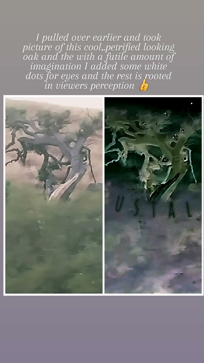 lustalgia86's tweet photo. New landscape/Pareidolia art. #Pareidolia #thirdeye #horrorart #photomanipulation #darkart https://t.co/MmdAGjg46h