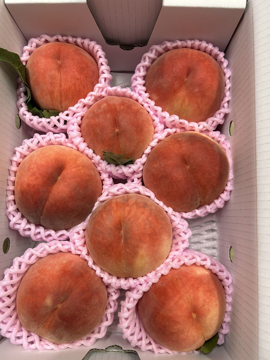 プレゼント企画開催いたします❗

ゆうぞら🍑２キロを３名様に❗

😸応募方法🐕️
<a href="/YukieMarusei/">まるせい果樹園&森のガーデン</a>をフォロー
この投稿をRT

締め切り　９月３日　(日)まで

ご応募お待ちしております🎶

今回食べ直で訳ありゆうぞら　
小玉ゆうぞらも販売しております❗
もちろん通常のものを販売しております❗