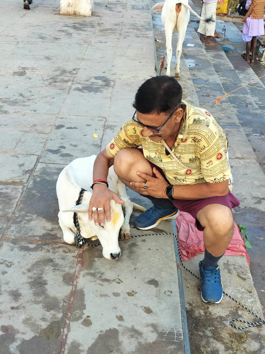 kdnarayan786 tweet picture
