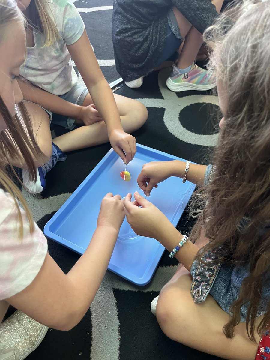 dublin2320's tweet image. Hansen Heroes worked on team work with our “Saving Fred” activity. #buildingateam #rcs118life @RobertCS118