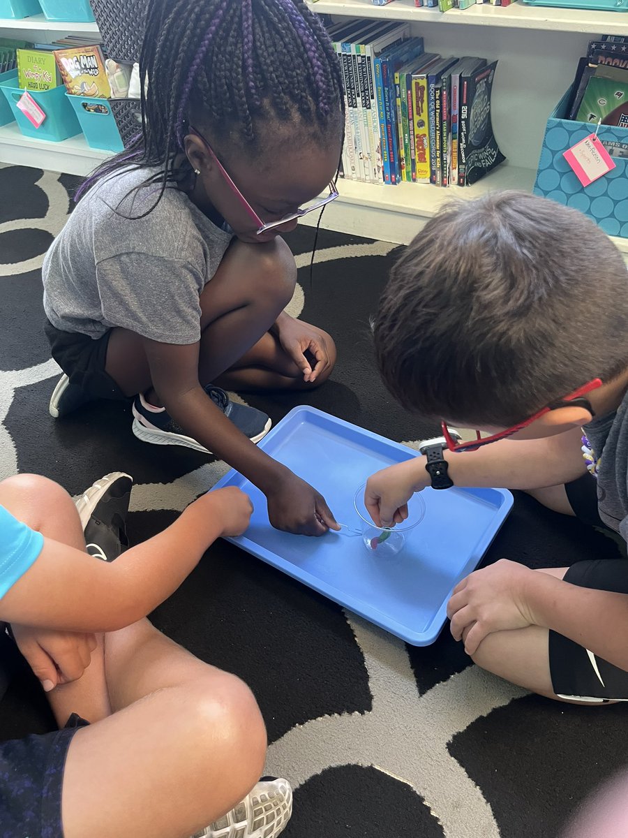 dublin2320's tweet image. Hansen Heroes worked on team work with our “Saving Fred” activity. #buildingateam #rcs118life @RobertCS118