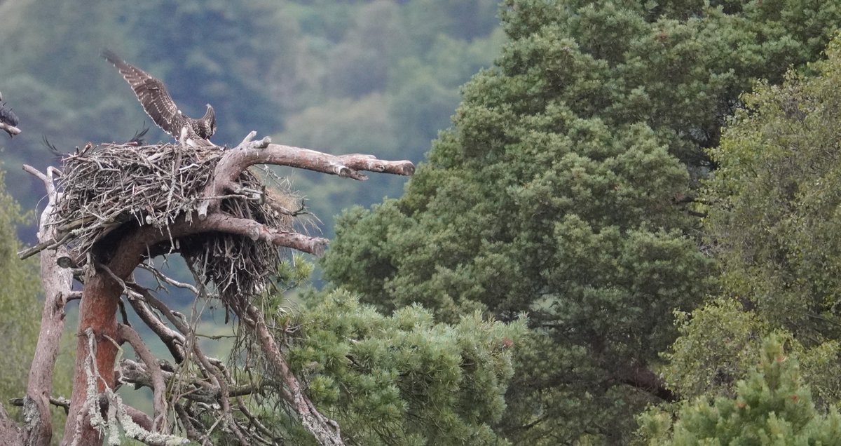 Ruari Saunders Photography tweet media