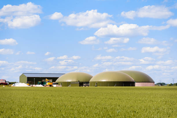 LibraryData's tweet image. Global Biodigester Market Size to Expanding at a CAGR by, Market Data Library
read more-rb.gy/3acv6
#marketsize #marketshare #markettrends #marketresearch #marketreports