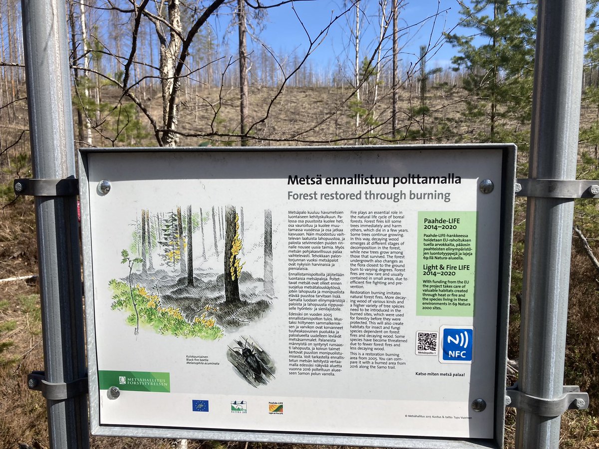 Panu Kuokkanen 🇫🇮🇪🇺🇺🇦 tweet media