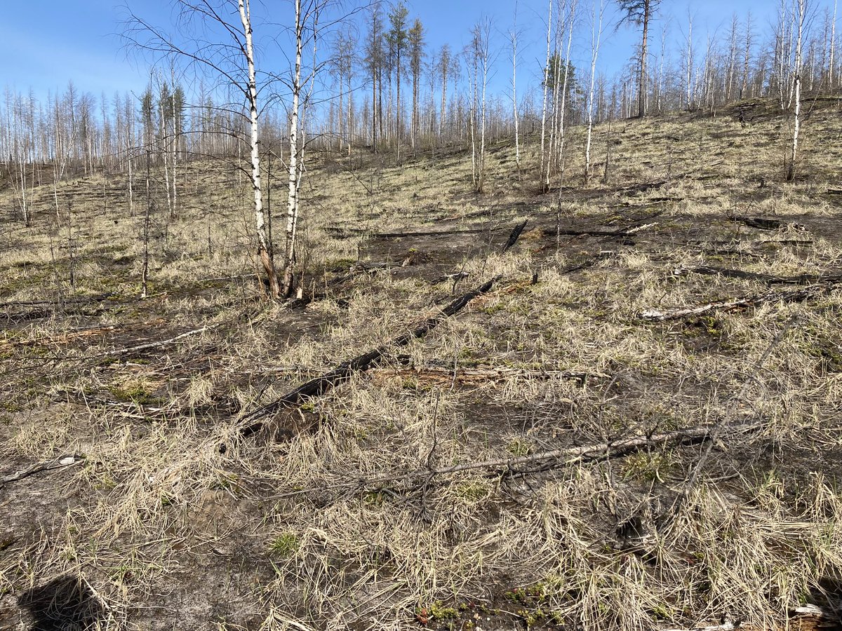 Panu Kuokkanen 🇫🇮🇪🇺🇺🇦 tweet media