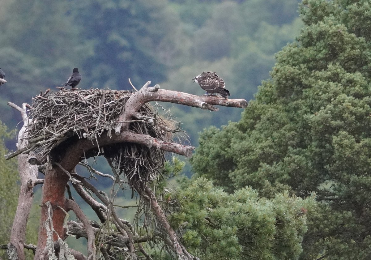 Ruari Saunders Photography tweet media