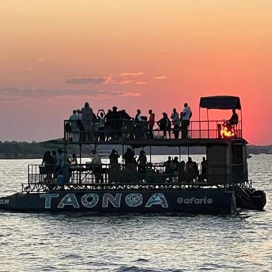 Taonga Safaris (@TaongaSafaris) / Posts / X