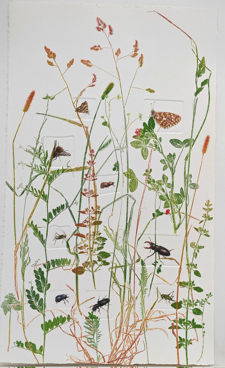 Lynn Bailey tweet media