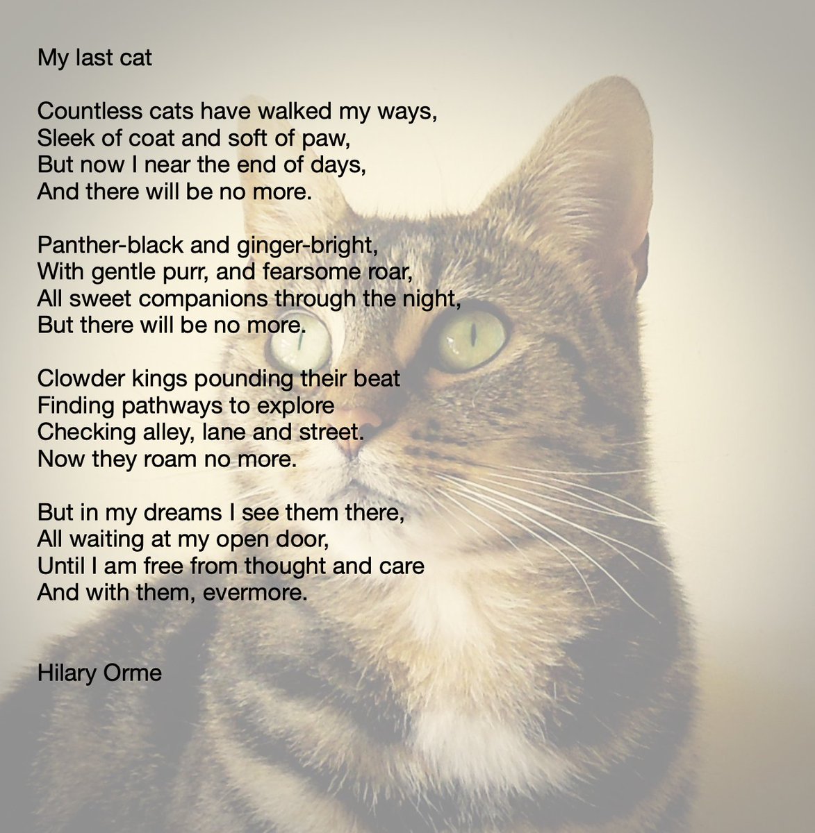 A while ago, we promised a new poem, and here it is. This is a special offering for #RainbowBridgeRemembranceDay.
Hugs and Best Fishes to all who have lost a dear fur-friend.
🤗🤗🐟🐠
#CatsOfTwitter 
#XCats