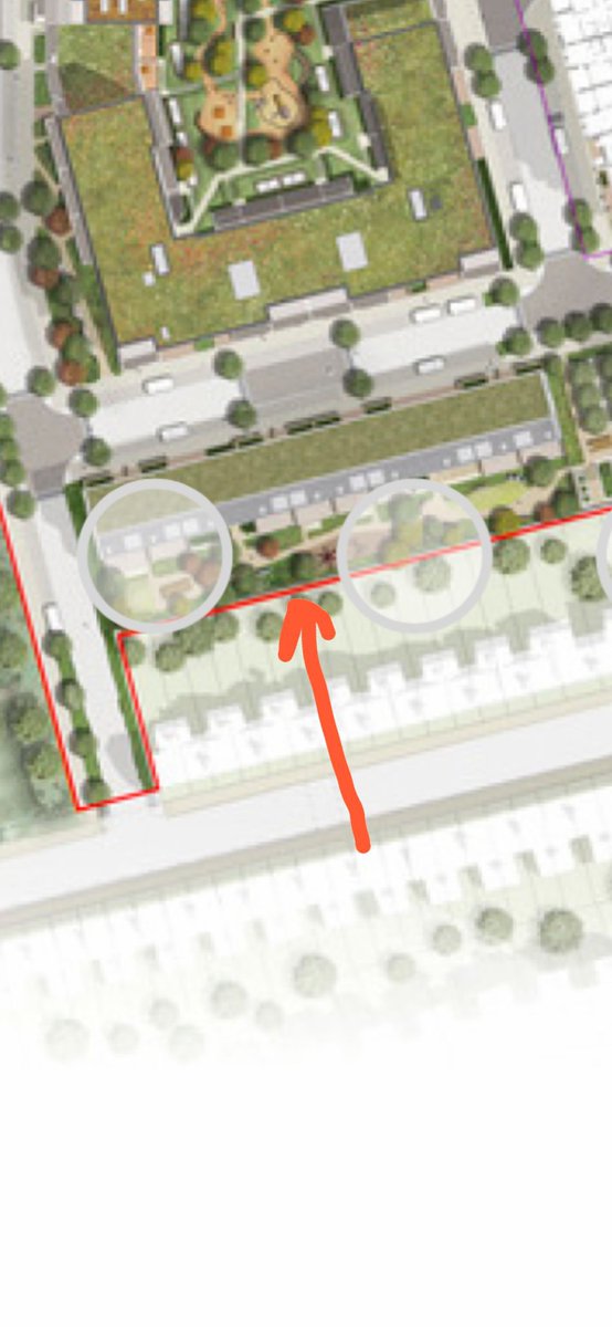 VarmintsN18's tweet photo. @MeridianWater @EnfieldCouncil @Nesil_Caliskan im very interested in knowing when the mature tree’s will be planted along our boundary line to regain our privacy and somewhat security? Discussions have left me feeling like this won’t happen? https://t.co/yJ5F5BaV5j