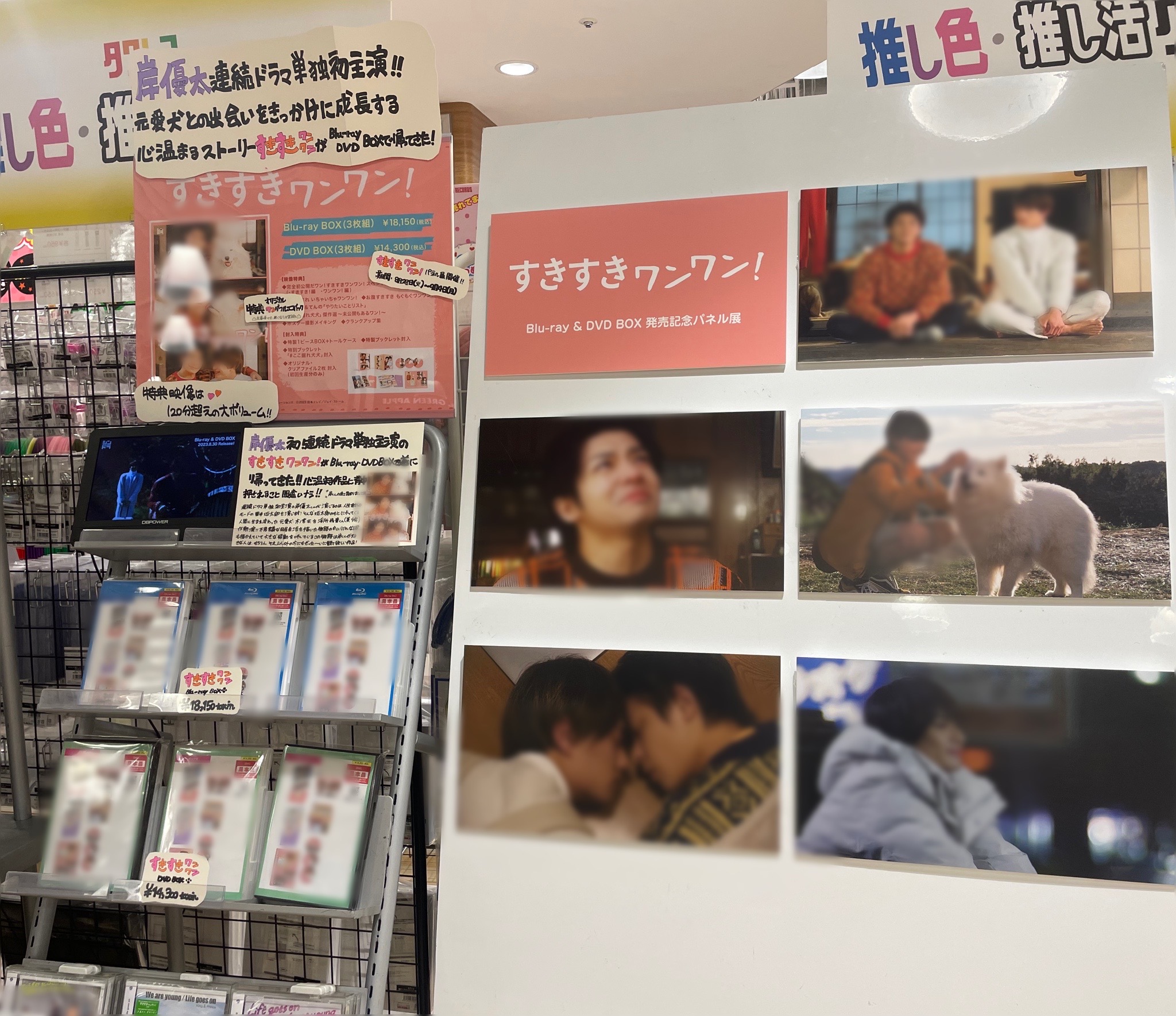 すきすきワンワン Blu-ray BOX〈3枚組〉-