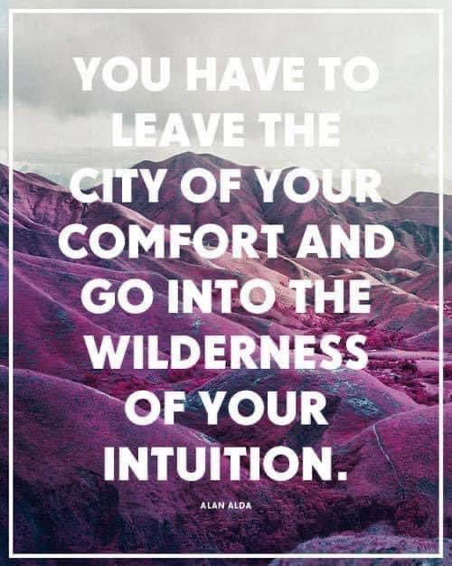 Some voices do not use words – LISTEN!

#danachilds #listen #danachildsintuitive #intuition #intuitiondevelopment #stepoutofyourcomfortzone